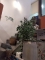 WhatsApp Image 2020-10-23 at 11.22.26 (2).jpeg